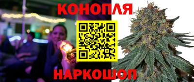 бошки Вязьма