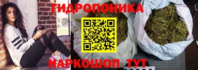бошки Вязьма