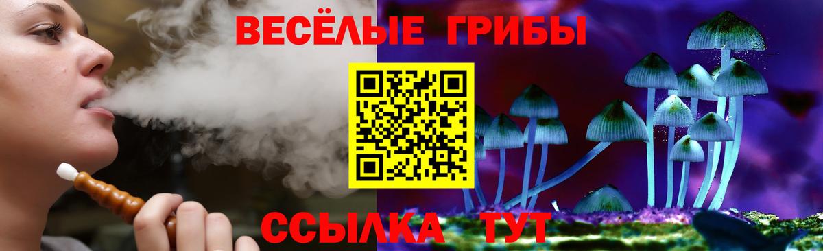 Псилоцибиновые грибы ЛСД Ейск